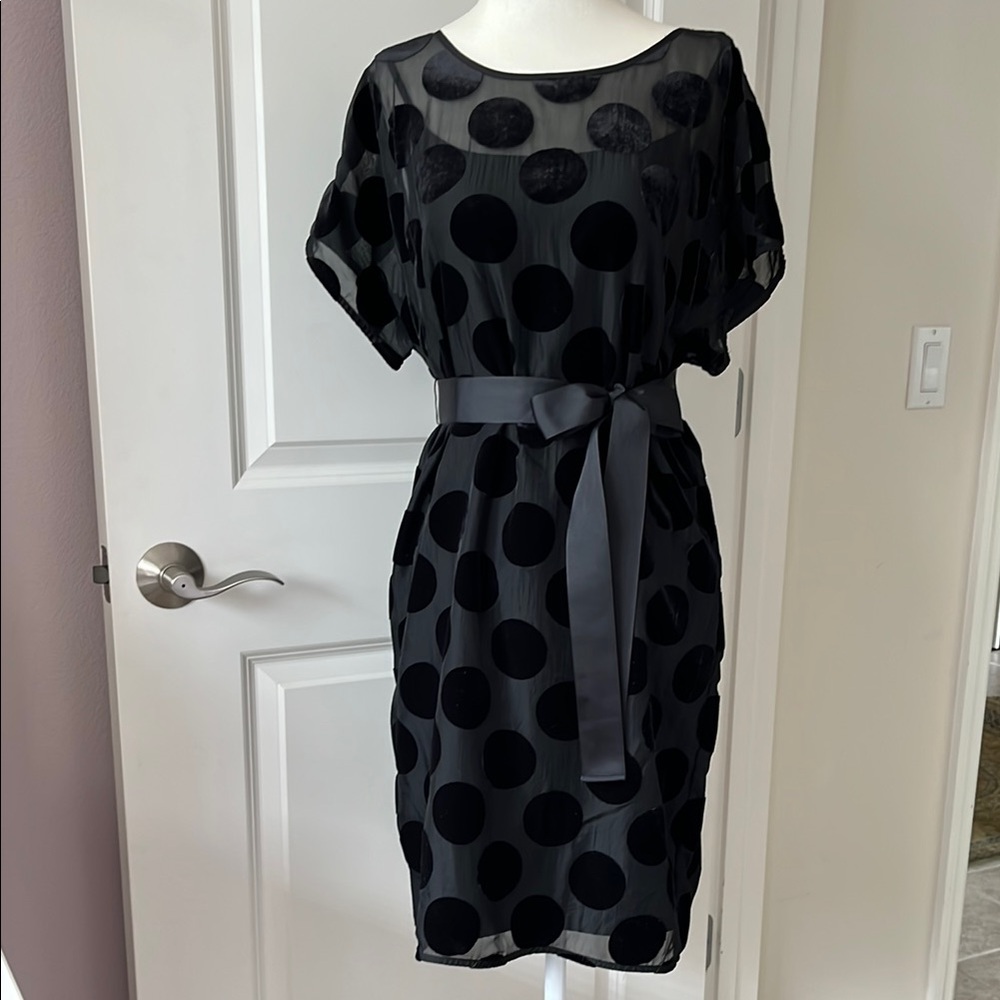 Ann Taylor Factory Black Velvet Dot Dress